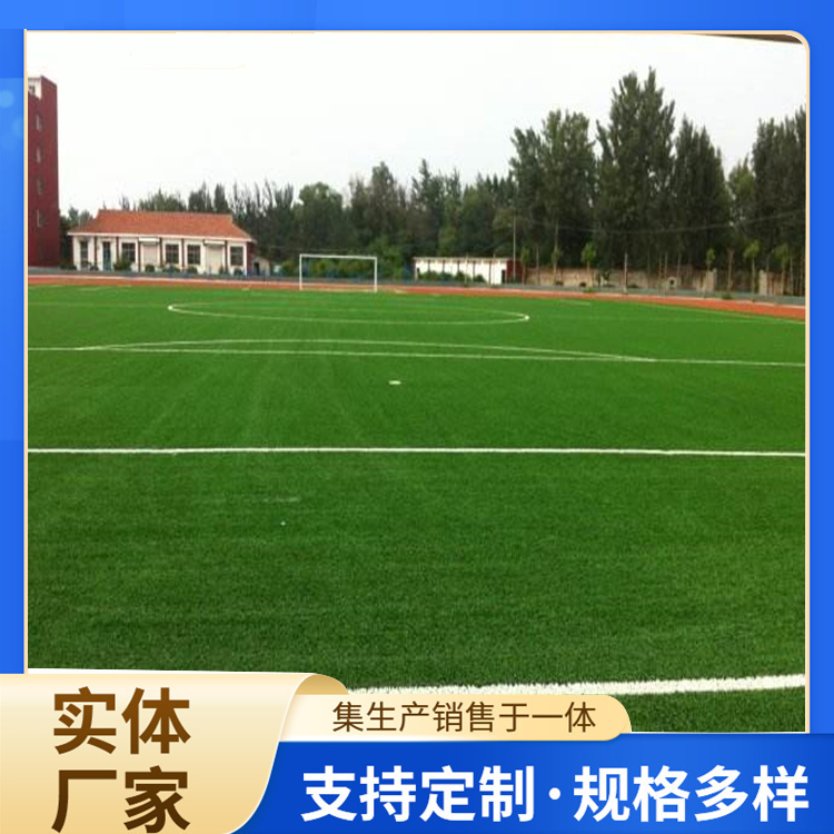 图木舒克市硅PU人造草坪 - 哪里好